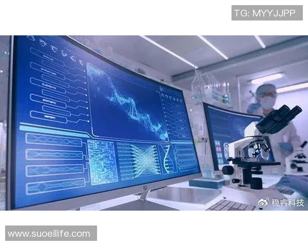 杭州乒乓球队进攻革新之路探秘与未来展望